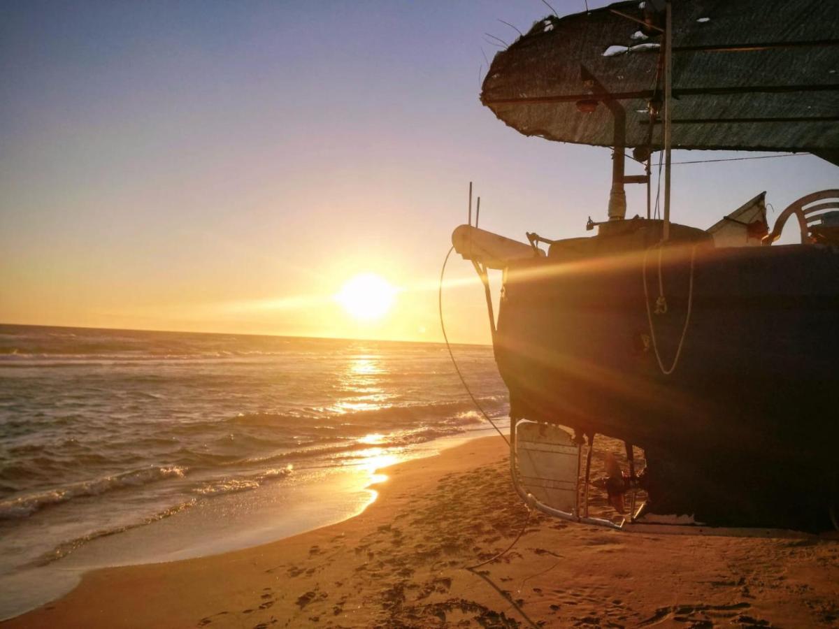 Luxury Beach House Torvaianica Zewnętrze zdjęcie